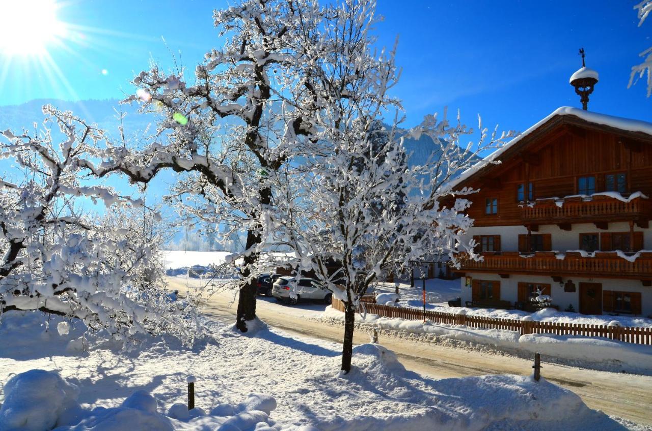 Kleintoedlinggut Villa Leogang Eksteriør billede