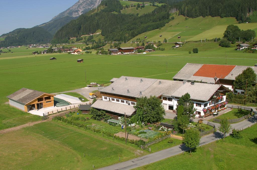 Kleintoedlinggut Villa Leogang Eksteriør billede