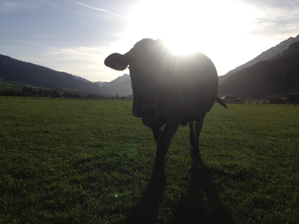 Kleintoedlinggut Villa Leogang Eksteriør billede