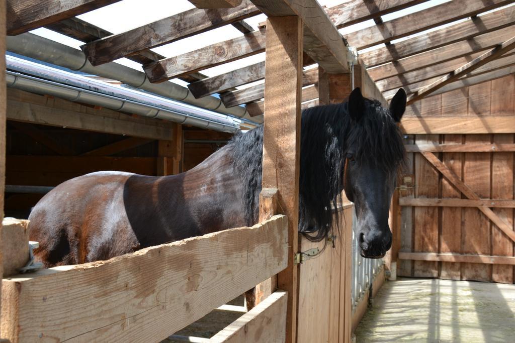 Kleintoedlinggut Villa Leogang Eksteriør billede